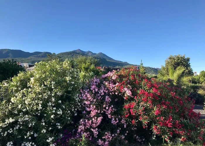 Feriehus Casita La Rosa El Paso