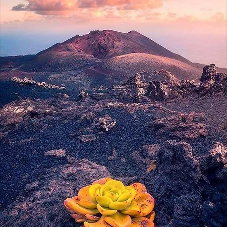 Casita La Rosa *