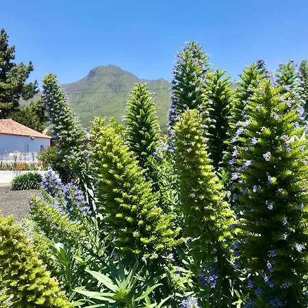Casita La Rosa Holiday home